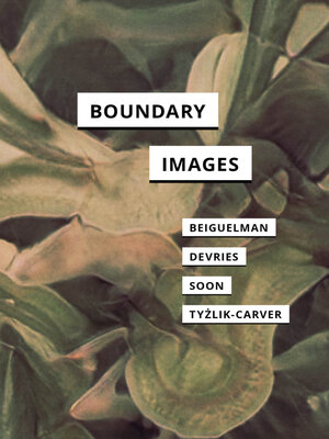 cover image of Boundary Images